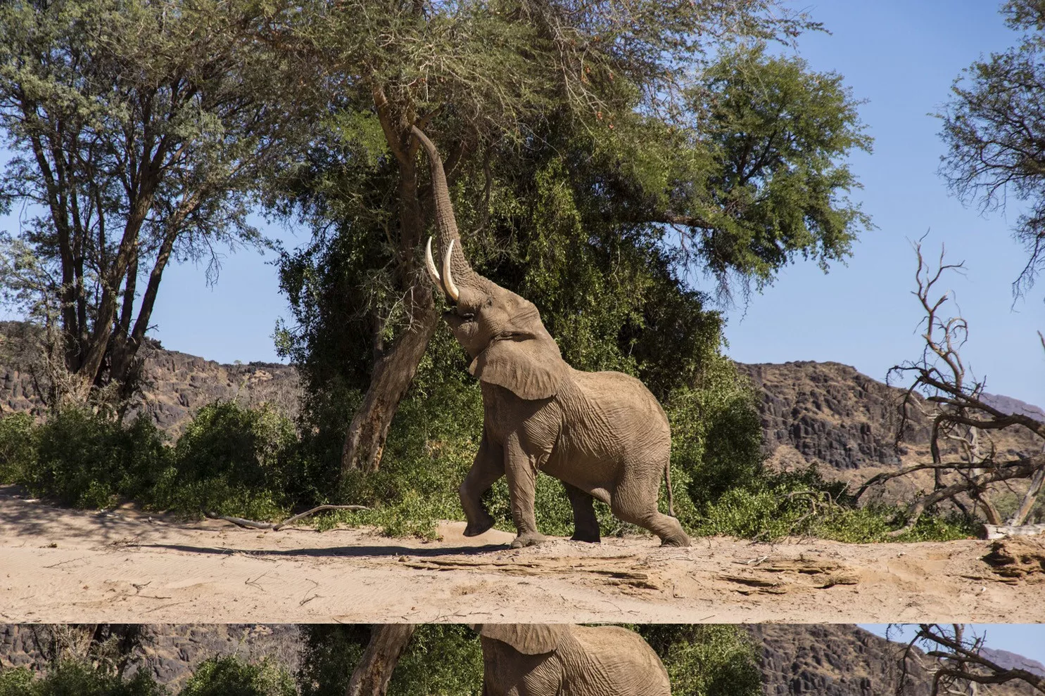 Safári na Namíbia Luxury